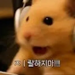 프로필 이미지